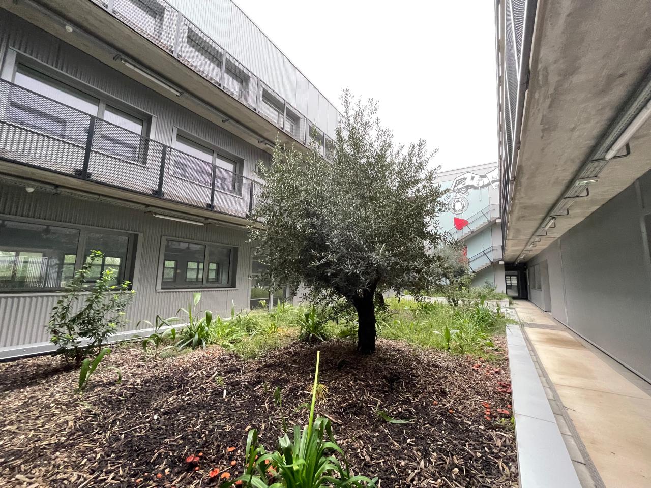 Bureau Montpellier 3258m² Location bureau Montpellier Hérault OLBUR2115374 9